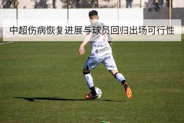中超伤病恢复进展与球员回归出场可行性